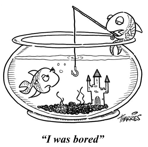 'I was bored.'