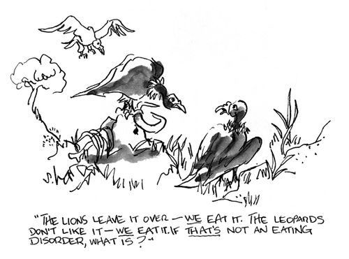 'The lions leave it over - we eat it.  The leopards don't like it - we eat it.  If that's not an eating disorder, what is?'