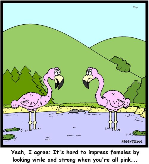 'Yeah, I agree: It's hard to impress females by looking virile and strong when you're all pink...'