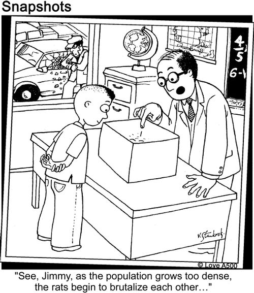 'See, Jimmy, as the population grows too dense, the rats begin to brutalize each other...'