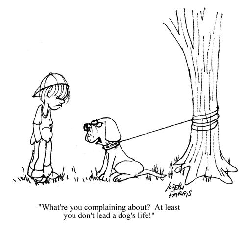 'What're you complaining about?  At least you don't lead a dog's life!'