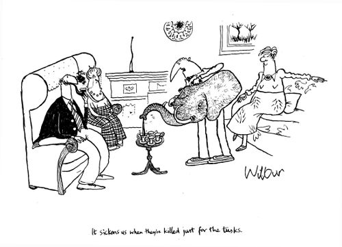 'It sickens us when they're killed just for the tusks.'