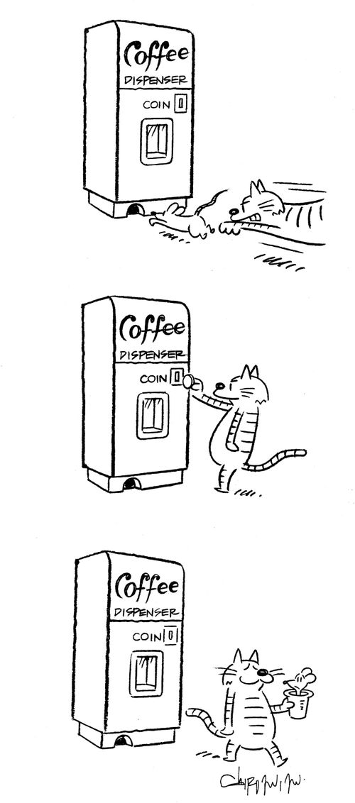 Cat gets coffee from coffee machine.