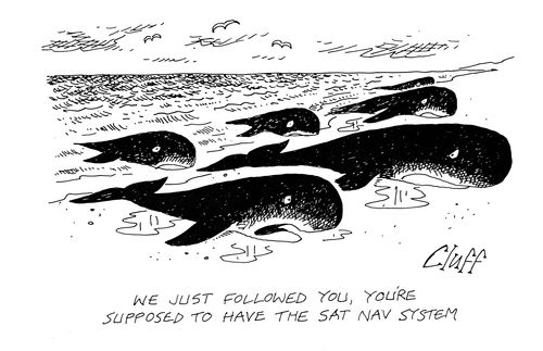 'We just followed you, you're supposed to have the sat nav system.'