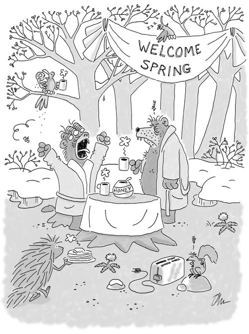 Welcome Spring.