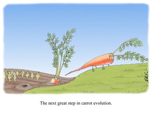 The next great step in carrot evolution.