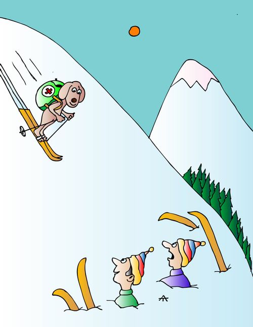 Skiing rescue dog.