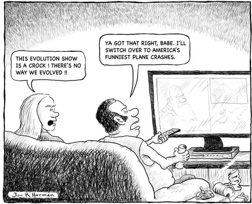 "This evolution show is a crock! There's no way we evolved."