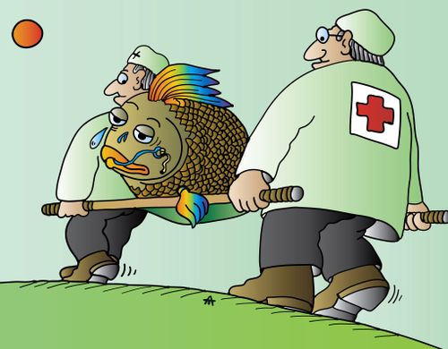 Fish Is Rescued By The Emergency Services