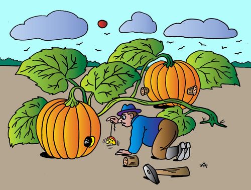 Pumpkin Mice
