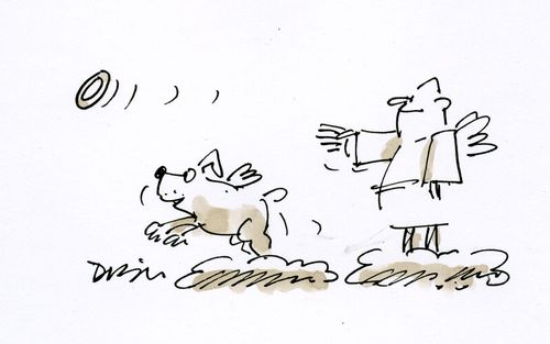 Dog Heaven