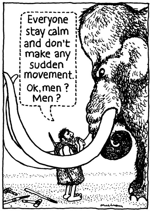 'Everyone stay calm and don't make any sudden movement. Ok, men? Men?'