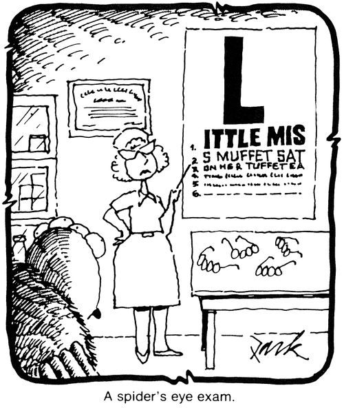 A spider's eye exam.