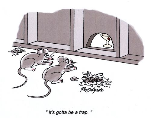 'It's gotta be a trap.'