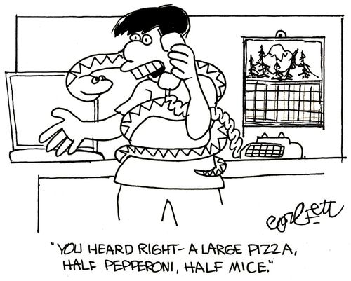 'You heard right - a large pizza, half pepperoni, half mice.'