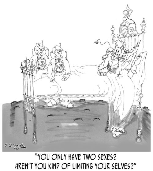 'You only have two sexes? Aren't you kind of limiting your selves?'