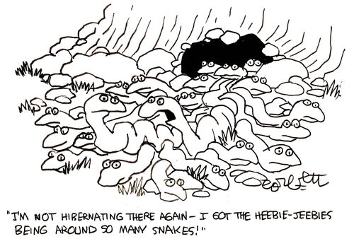 'I'm not hibernating there again - I got the heebie-jeebies being around so many snakes!'
