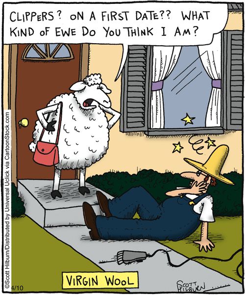 Virgin wool - 'Clippers On a first date What kind of ewe do you think I am'