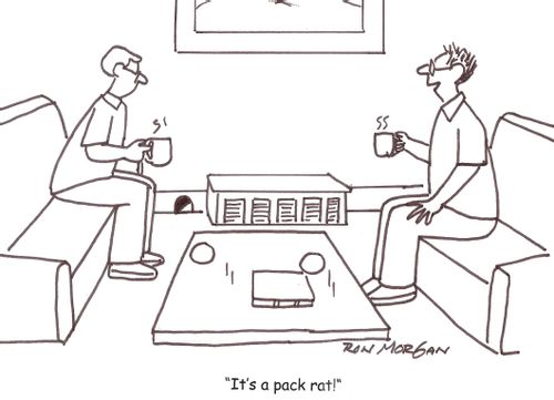 'It's a pack rat!'