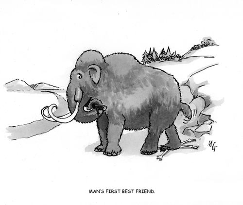 'Man's first, best friend'