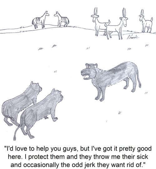 'I'd love to help you guys, but I've got it pretty good here. I protect them and they throw me their sick and occasionally the odd jerk they want rid of.'