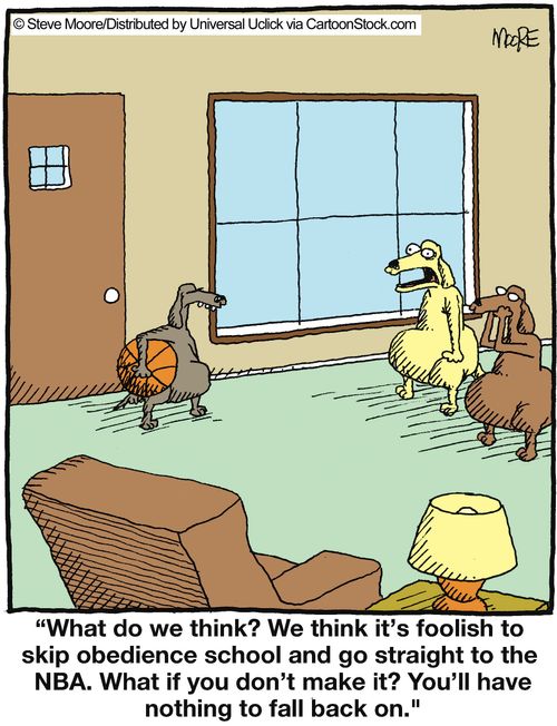'What do we think? We think it's foolish to skip obedience school and go straight to the NBS...'
