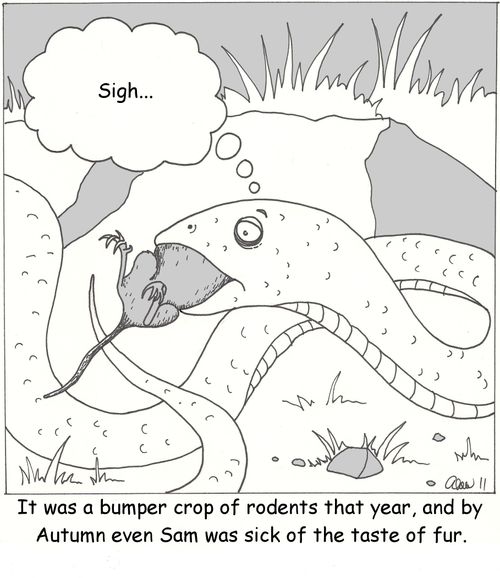 It was a bumper crop of rodents that year, and by Autumn even Sam was sick of the taste of fur.