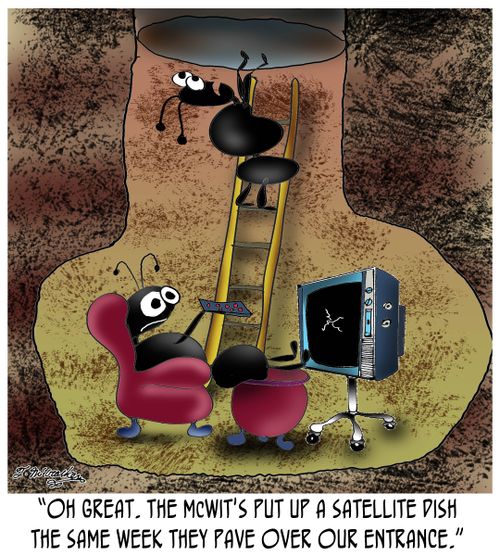 'Oh great. The McWit's put up a satellite dish the same week they pave over our entrance.'