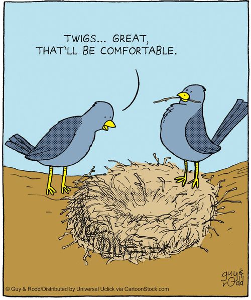 'Twigs... great, that'll be comfortable.'