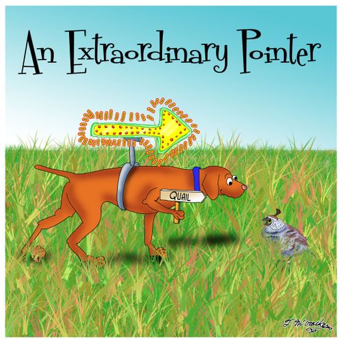 An Extraordinary Pointer