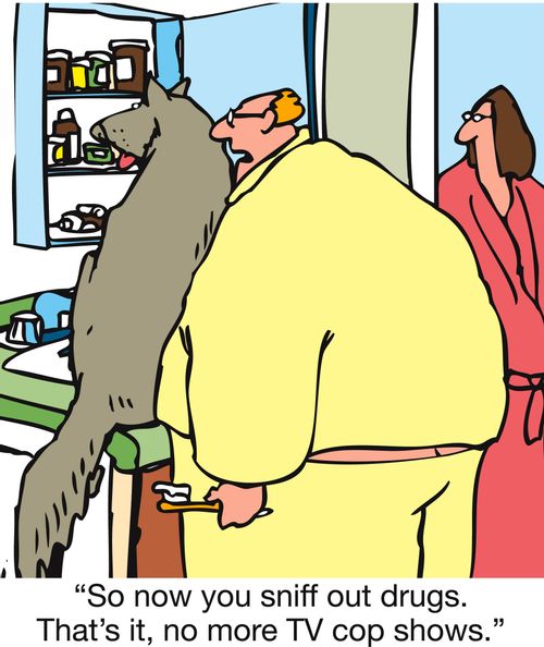 'So now you sniff out drugs. That's it, no more TV cop shows.'