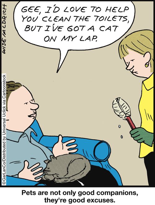 Pets are not only good companions, they're good excuses.