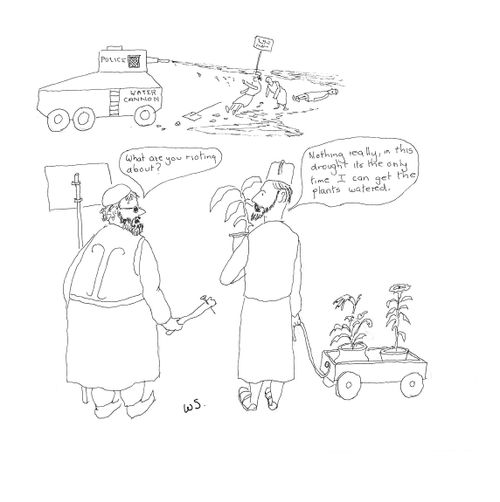'What are you rioting about?' - 'Nothing really, in this drought its the only time I can get the plants watered.'