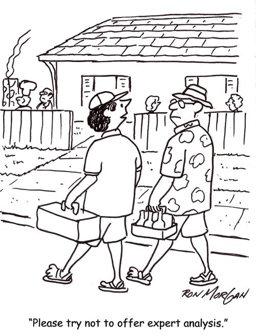 'Please try not to offer expert analysis.'