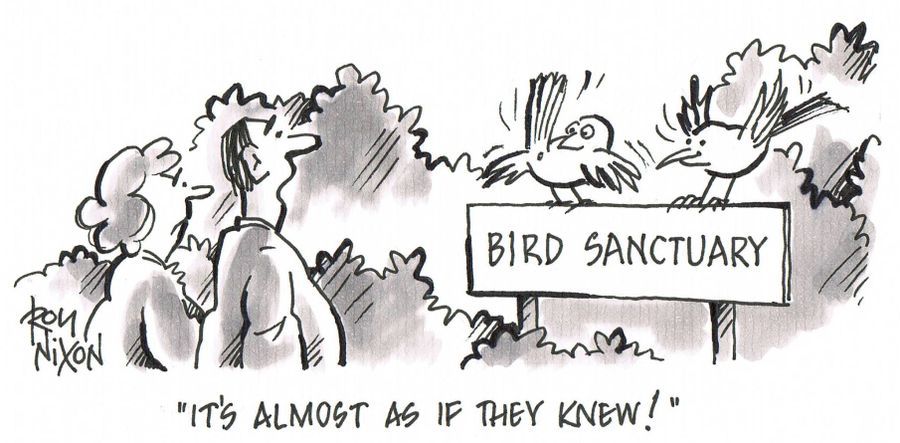 'It's almost as if they knew!'