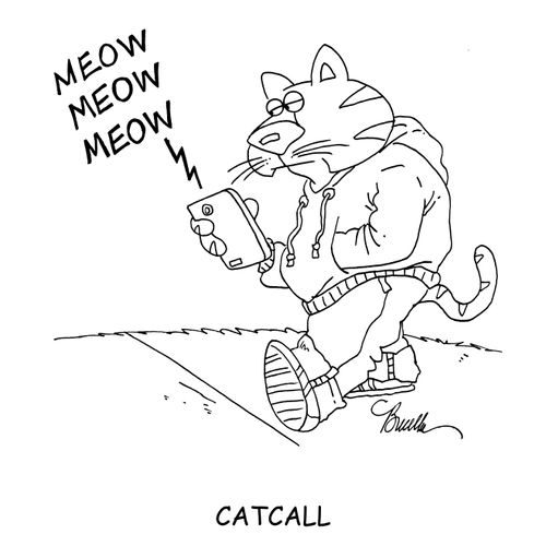 Catcall.