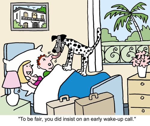 'To be fair, you did insist on an early wake-up call.'