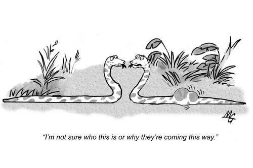'I'm not sure who this is or why they're coming this way.