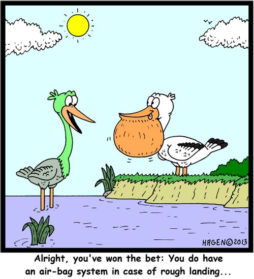'Alright, you've won the bet: You do have an air-bag system in case of rough landing...'