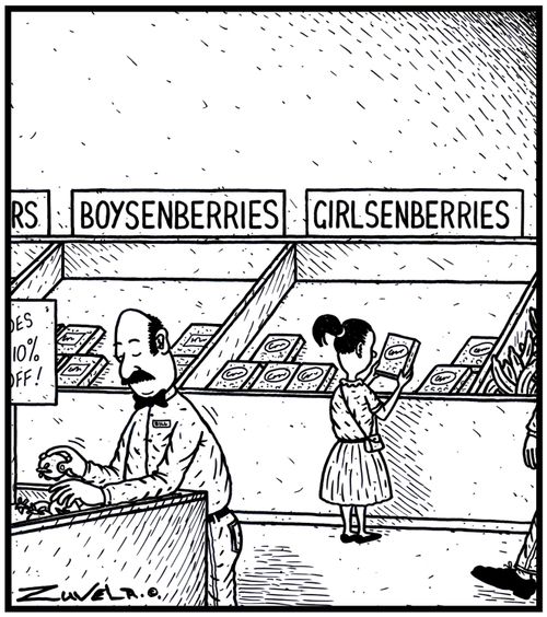 Boysenberries and Girlsenberries