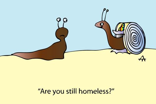 'Are you still homeless?'
