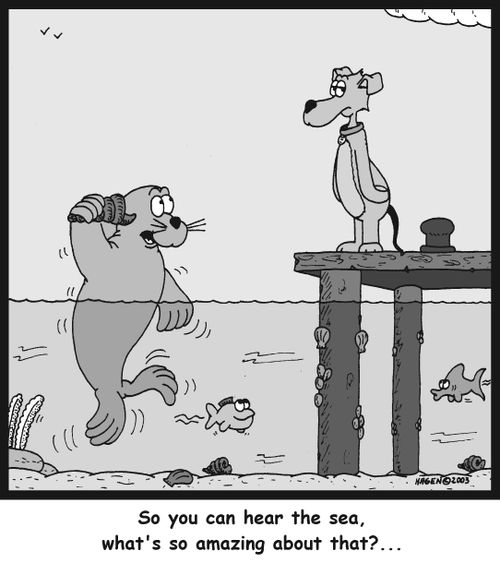 'So you can hear the sea, what's so amazing about that?...'