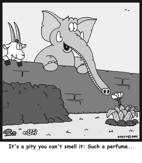 It's a pity you can't smell it: such a perfume...