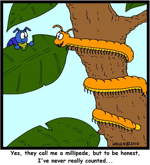 'Yes, they call me a millipede, but to be honest, I've never really counted...'
