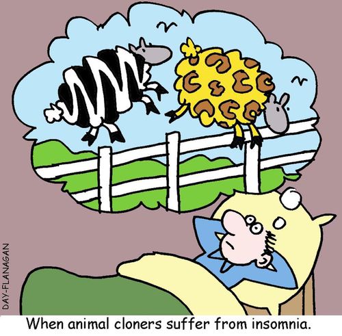 When animal cloners suffer from insomnia.