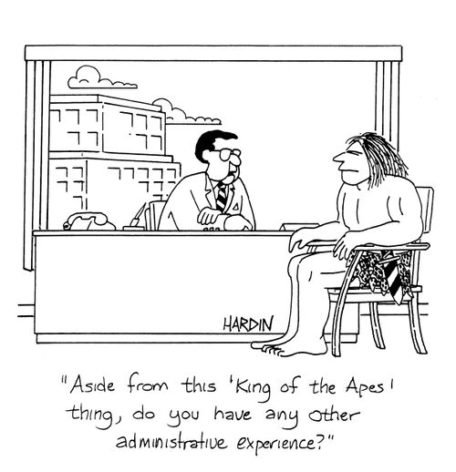 'Aside from this 'King of the Apes' thing, do you have any other administrative experience?'