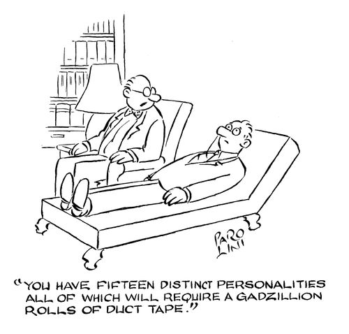 'You have fifteen distinct personalities, all of which require a gadzillion rolls of duct tape.'