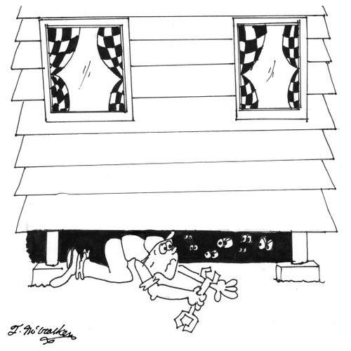 A plumber preparing to go under a house's dark crawl space sees many eyes looking back from the darkness.