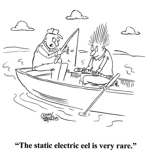 The static electric eel is very rare.