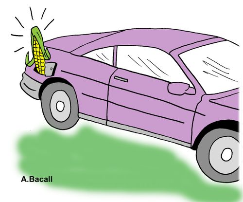 Bio Fuels.